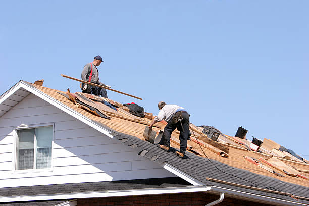 Best Storm Damage Roof Repair  in Dassel, MN